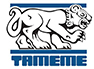Tameme